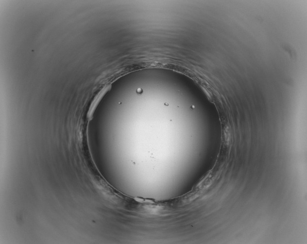 X0000111860570200907301134