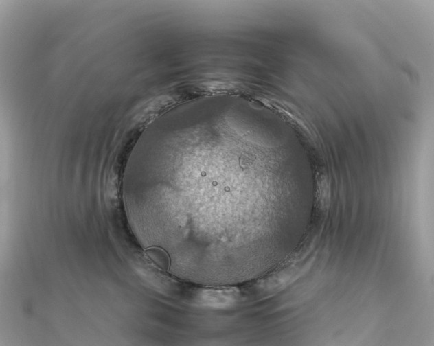 X0000111860571200907301134