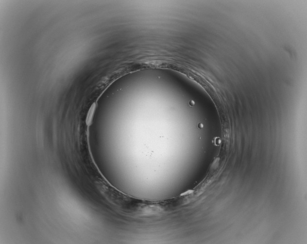 X0000111860572200907301134