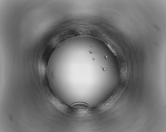 X0000111860574200907301134