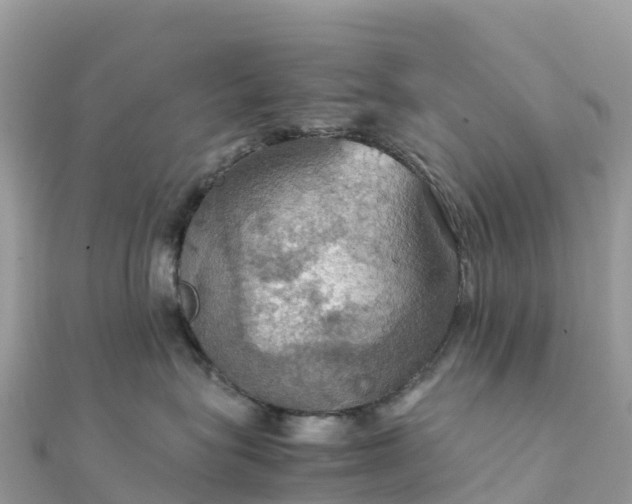 X0000111860575200907301134