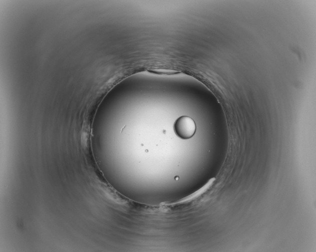 X0000111860576200907301134