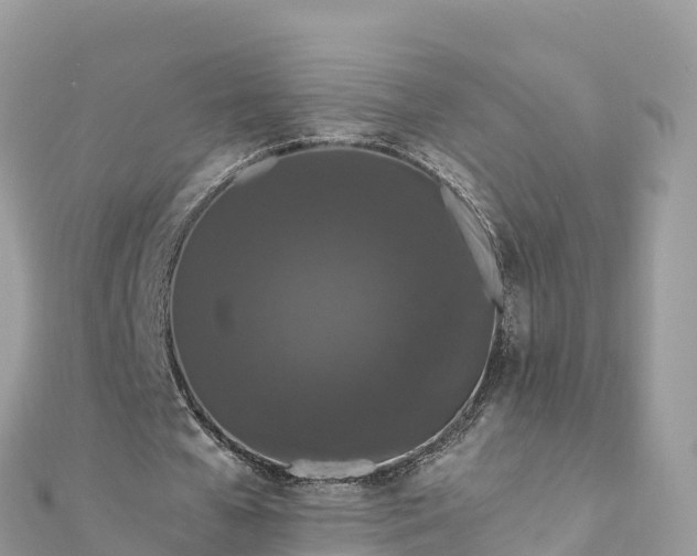 X0000111860577200907301133