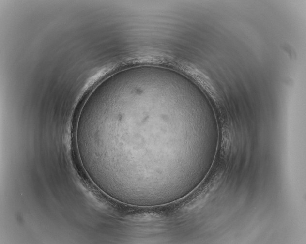 X0000111860578200907301133