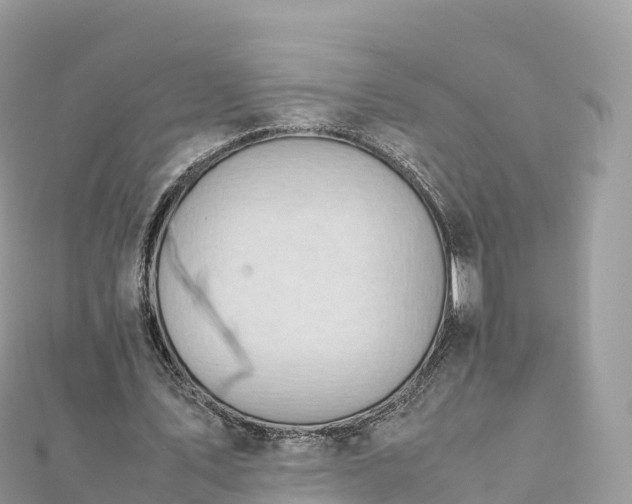 X0000111860579200907301133