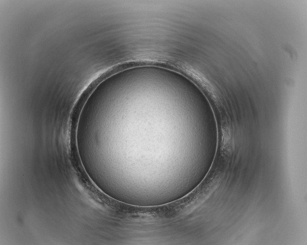 X0000111860580200907301133