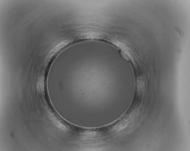 X0000111860581200907301133