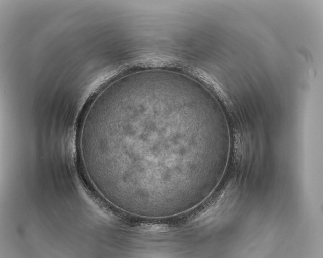 X0000111860582200907301133