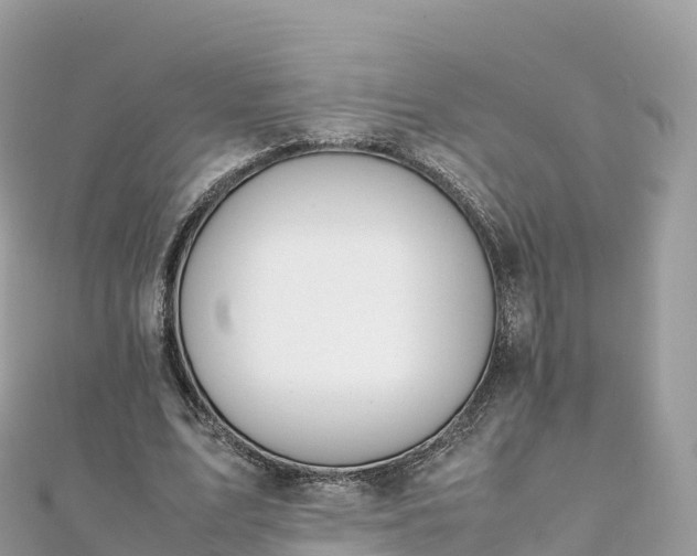 X0000111860583200907301133