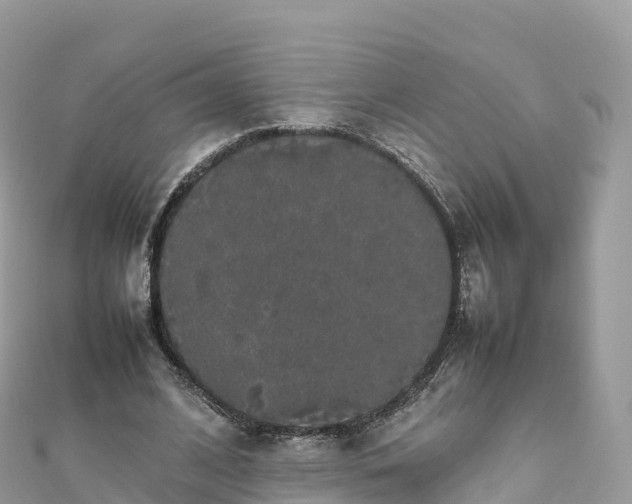 X0000111860584200907301133