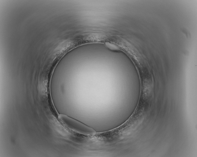 X0000111860585200907301133