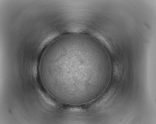 X0000111860586200907301133