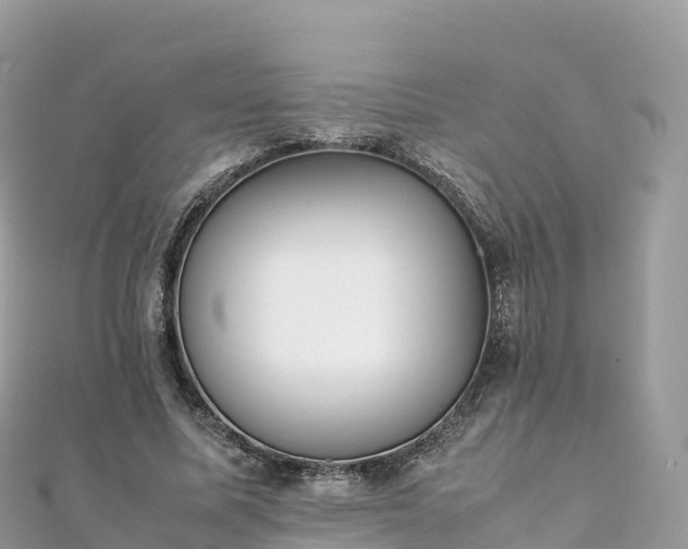 X0000111860587200907301133