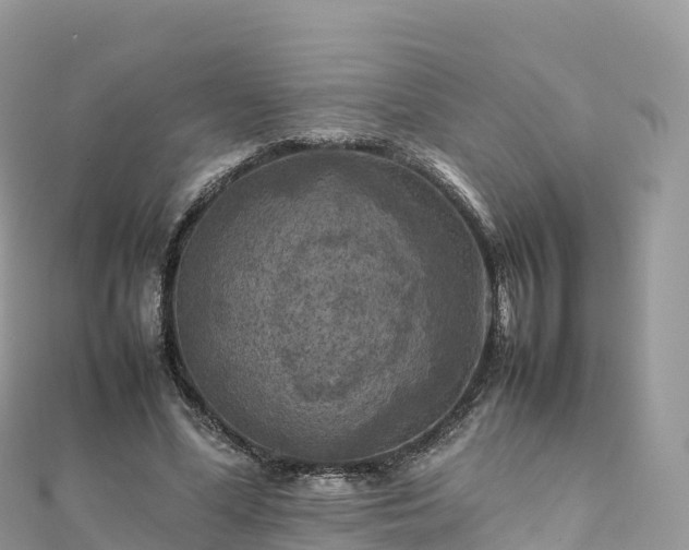 X0000111860588200907301133