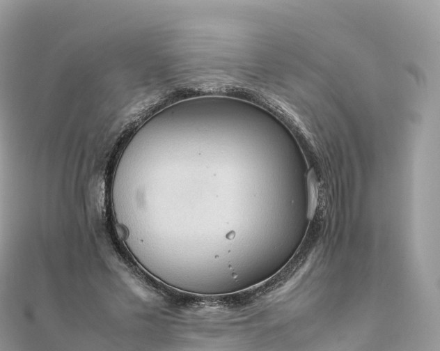 X0000111860589200907301133