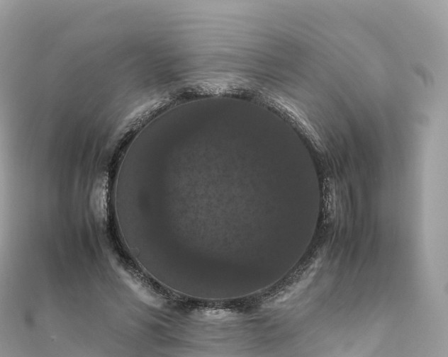 X0000111860590200907301133