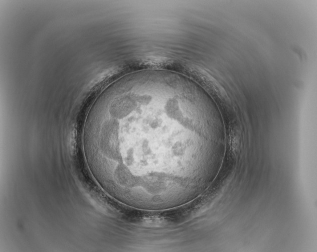 X0000111860591200907301133