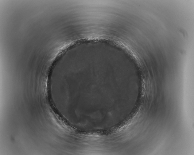 X0000111860592200907301133