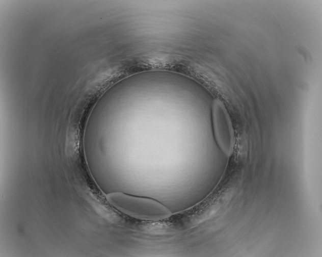 X0000111860593200907301133