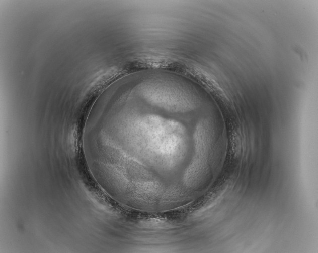 X0000111860594200907301133