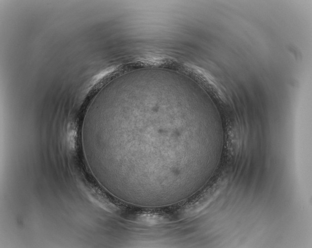 X0000111860596200907301133