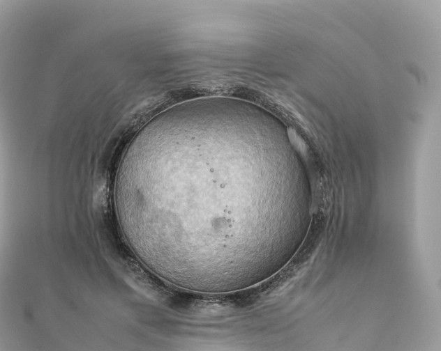 X0000111860597200907301133