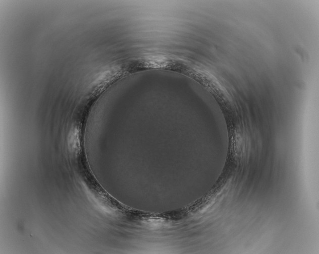 X0000111860598200907301133