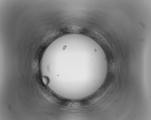 X0000111860599200907301133