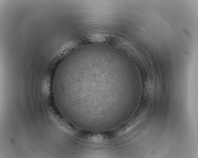 X0000111860600200907301133