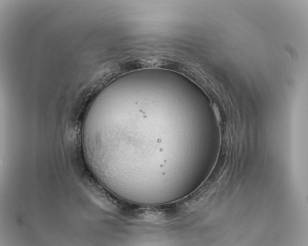 X0000111860601200907301133