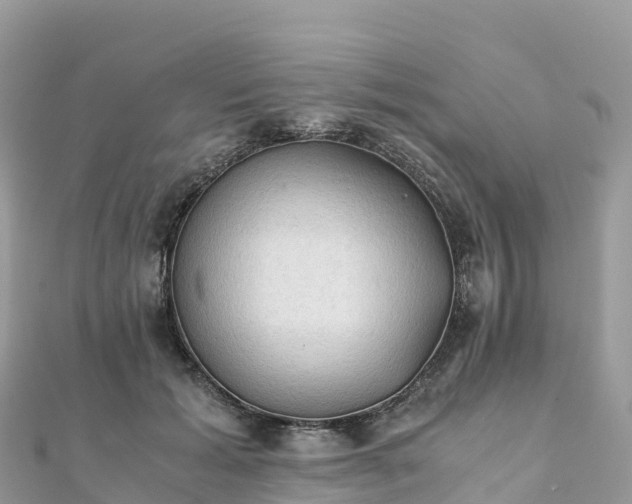 X0000111860605200907301133