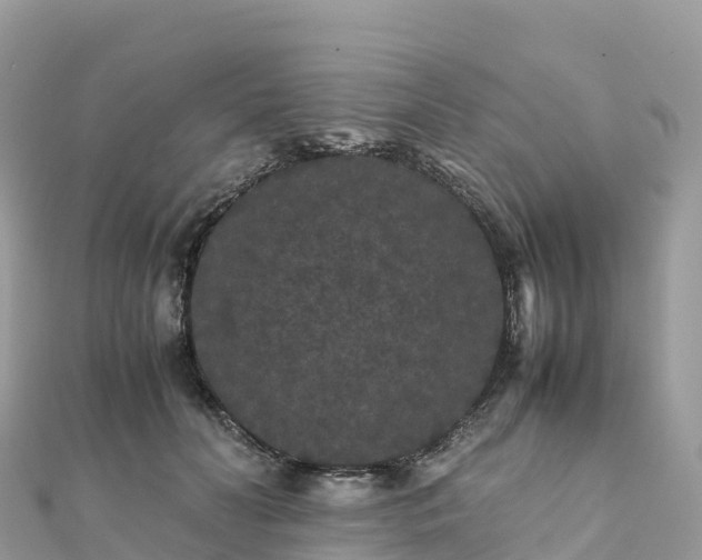 X0000111860606200907301133