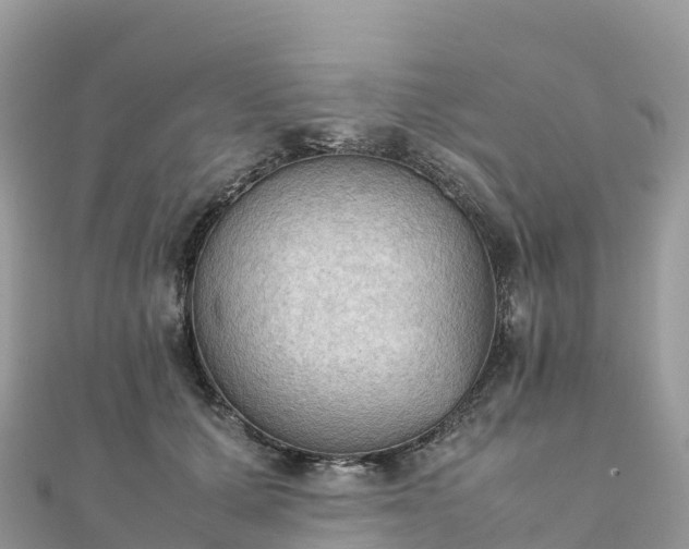 X0000111860607200907301133