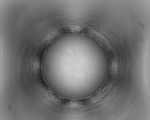 X0000111860608200907301133