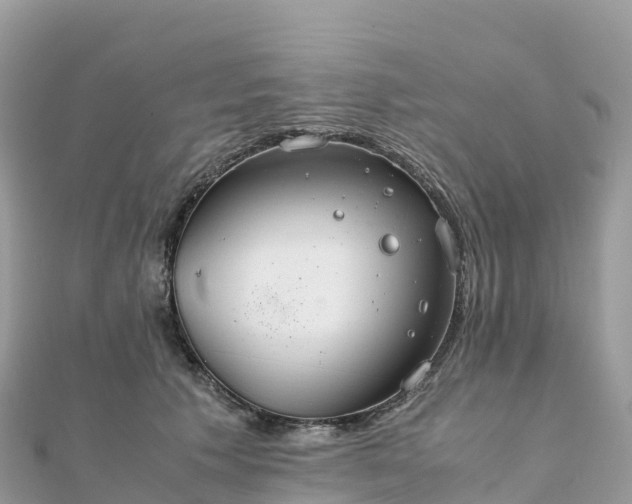 X0000111860609200907301133