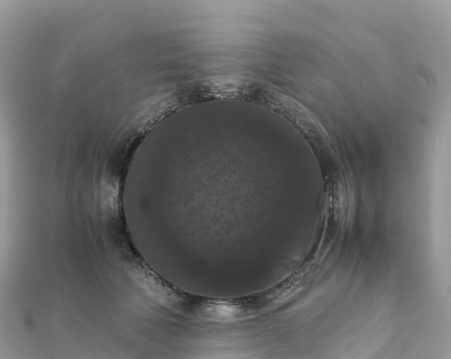 X0000111860610200907301133