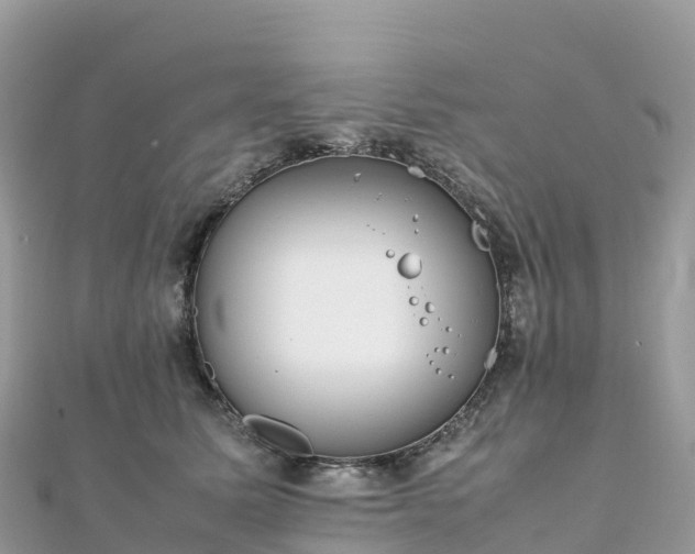 X0000111860611200907301133