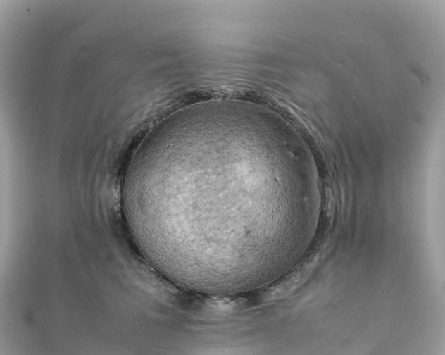 X0000111860613200907301133