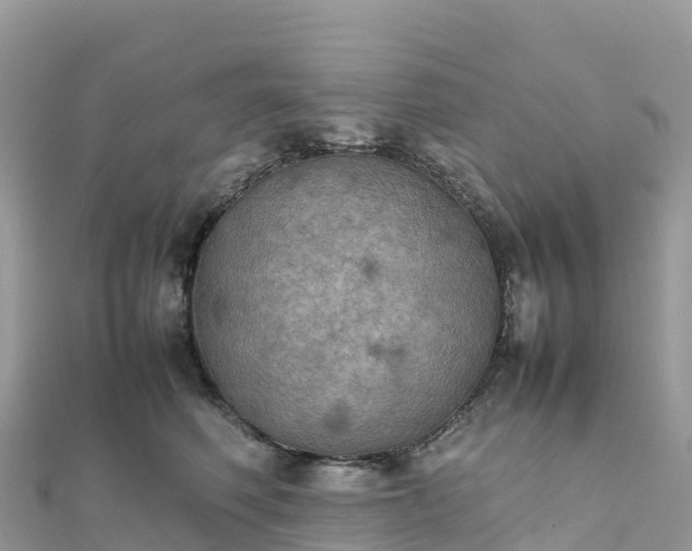 X0000111860614200907301133