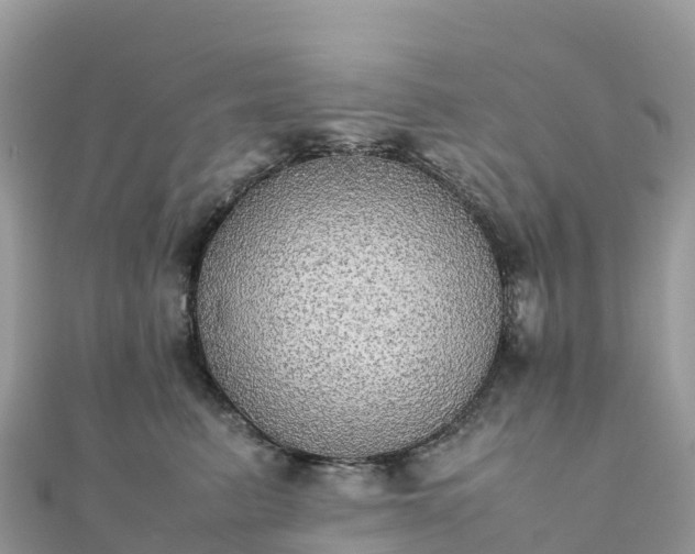 X0000111860615200907301132