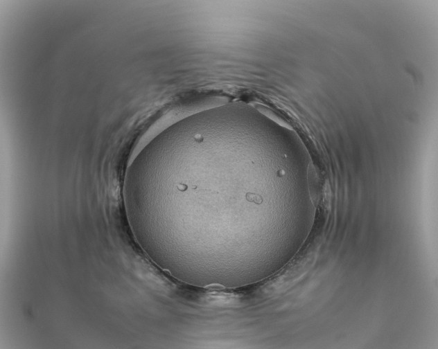 X0000111860617200907301132