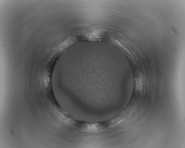 X0000111860618200907301132