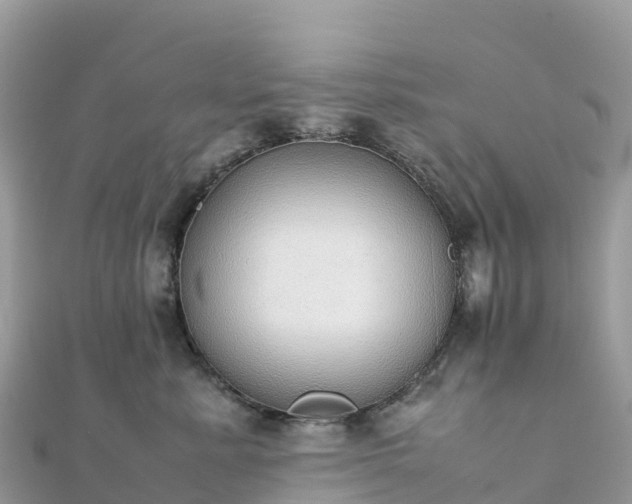 X0000111860619200907301132