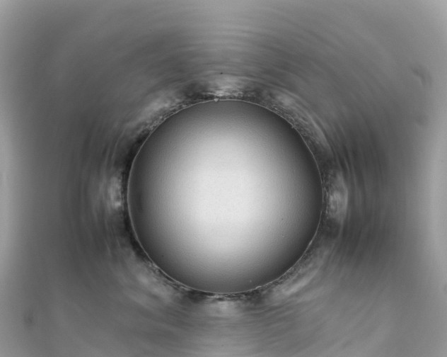 X0000111860620200907301132