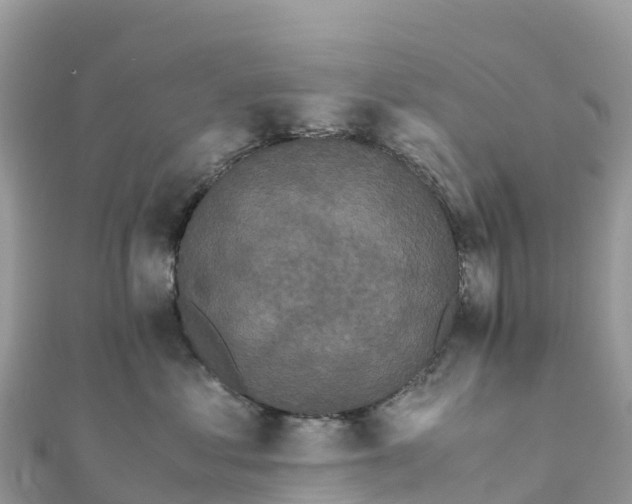 X0000111860621200907301132