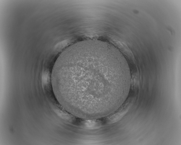 X0000111860623200907301132