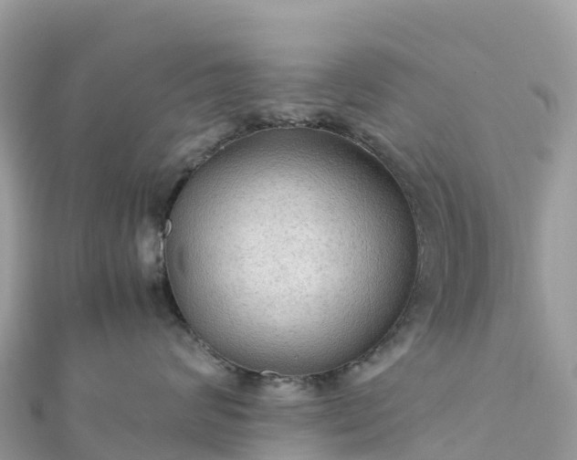 X0000111860624200907301132