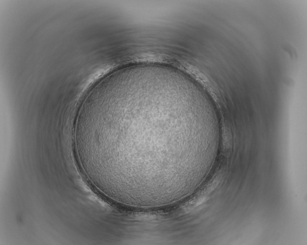 X0000111860625200907301132