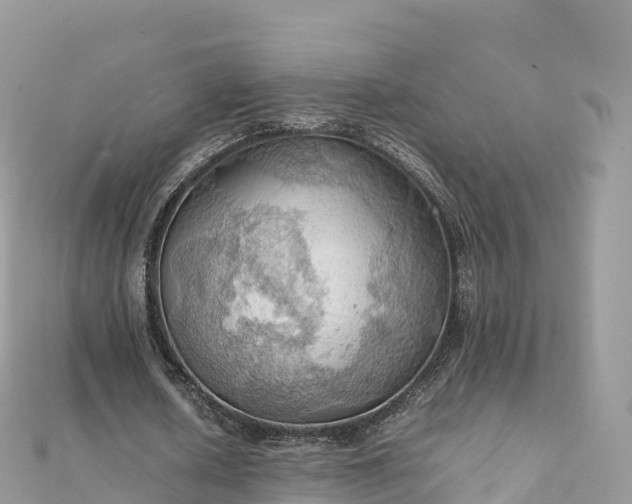 X0000111860626200907301132