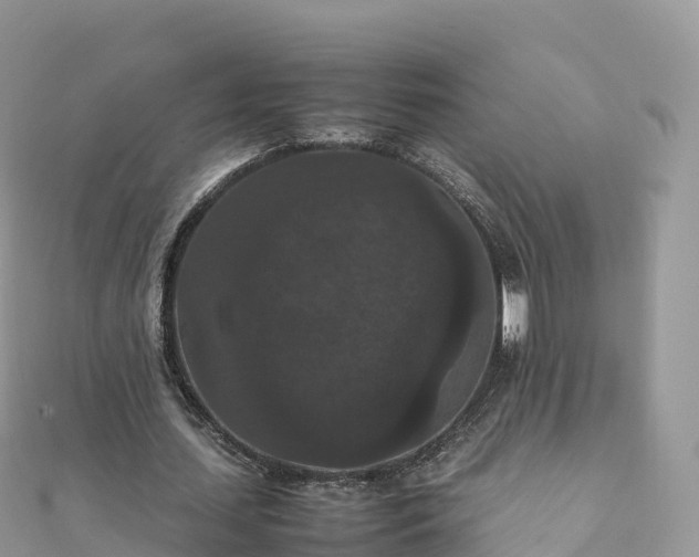 X0000111860627200907301132